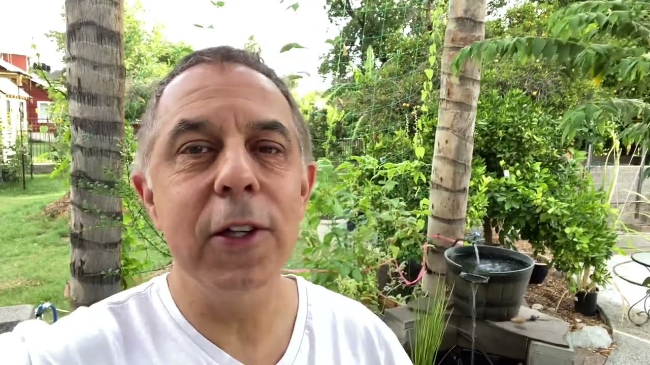 Protected: 220 July 5 Video Update